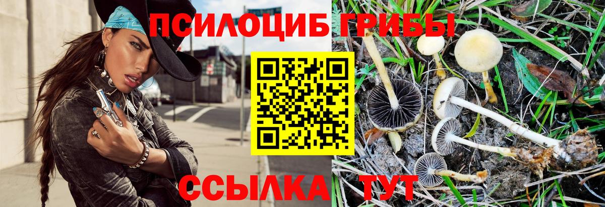 Псилоцибиновые грибы MAGIC MUSHROOMS Белореченск